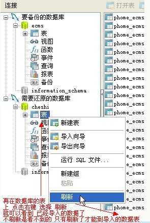使用Navicat Premium备份和导入数据库14.jpg