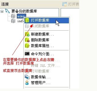 使用Navicat Premium备份和导入数据库4.jpg
