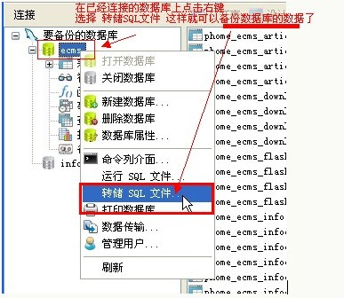 使用Navicat Premium备份和导入数据库5.jpg