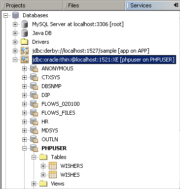 NetBeans IDE 的“服务”窗口中显示的数据库表