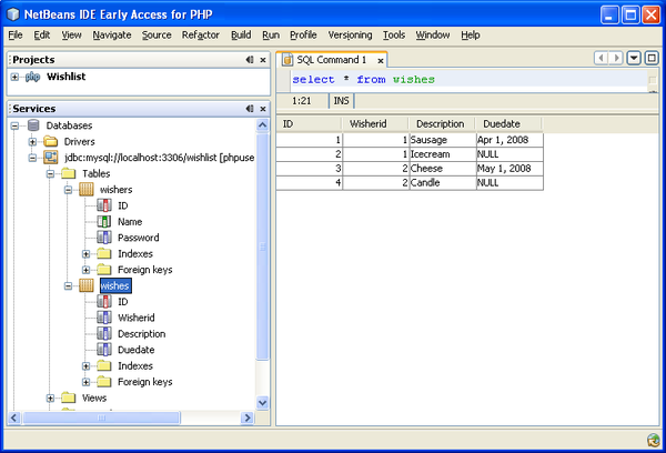 使用 NetBeans IDE 界面查看输入的测试数据