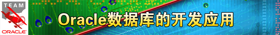 专题:Oracle数据库开发应用指南