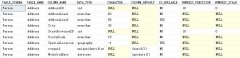 探讨SQL利用INFORMATION_SCHEMA系统视图如何获取表的主外键信息